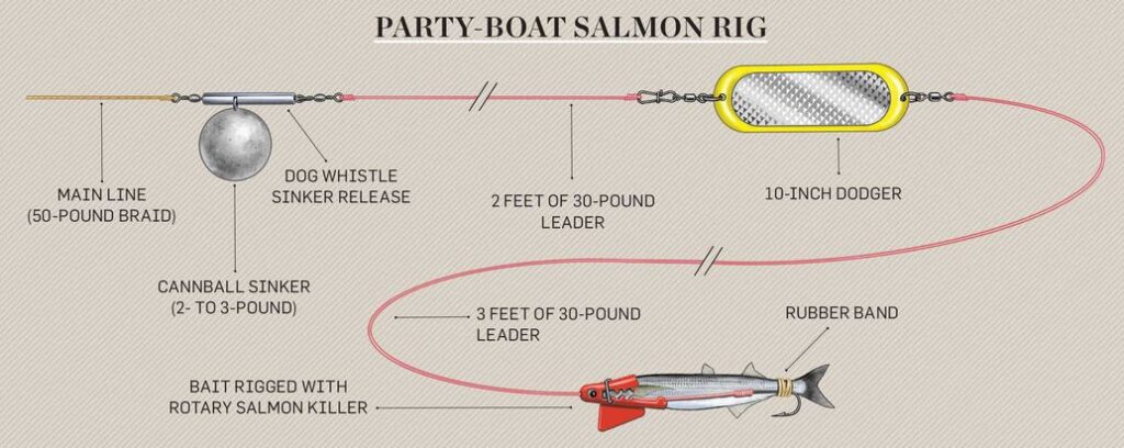 How to Catch California Chinook Salmon - Golden State Salmon