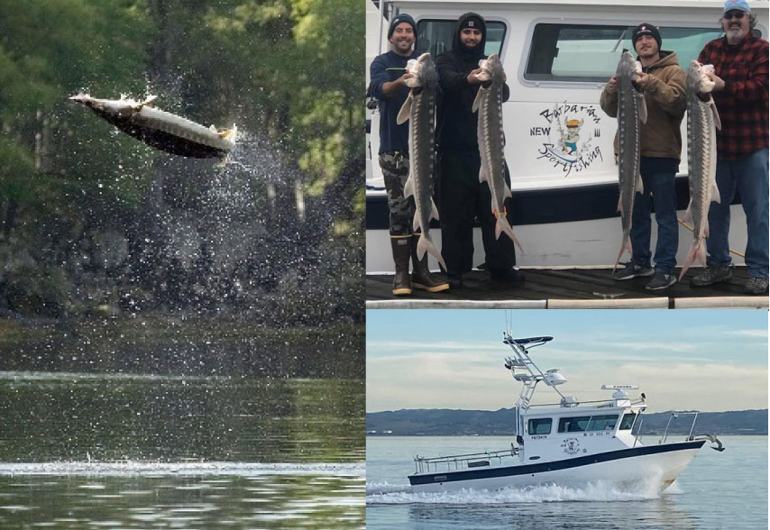 Sturgeon Fishing for Four with Barbarian Sportfishing out of the San Pablo Bay