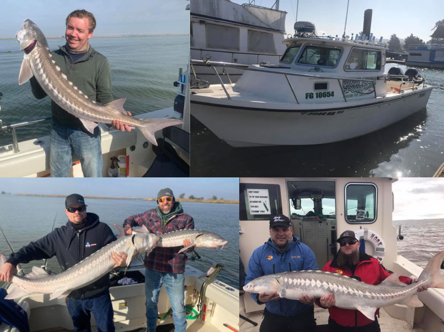 Four spots for sturgeon fishing with one of the most popular captains