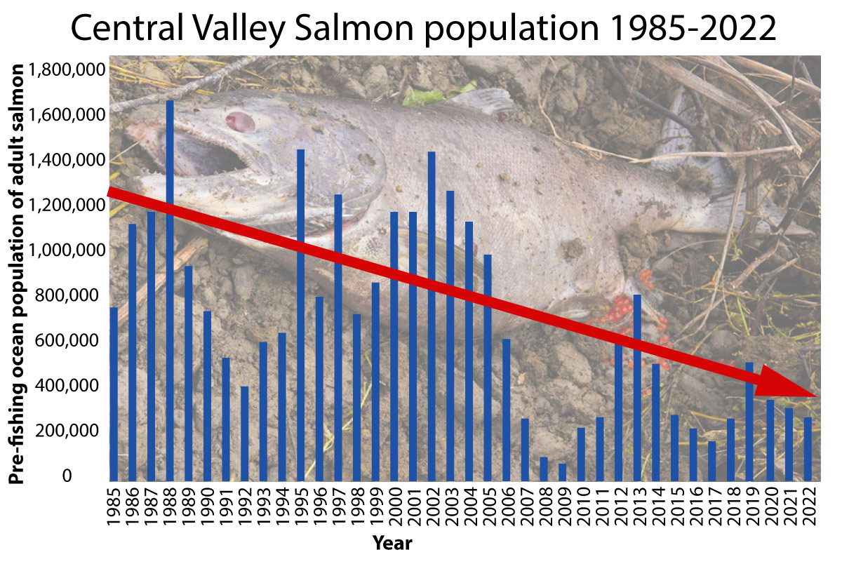 The Problem Golden State Salmon Association