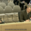 GSSA Testifies at State Water Resources Control Board – Highlights Impacts to Salmon and Fishing Industry