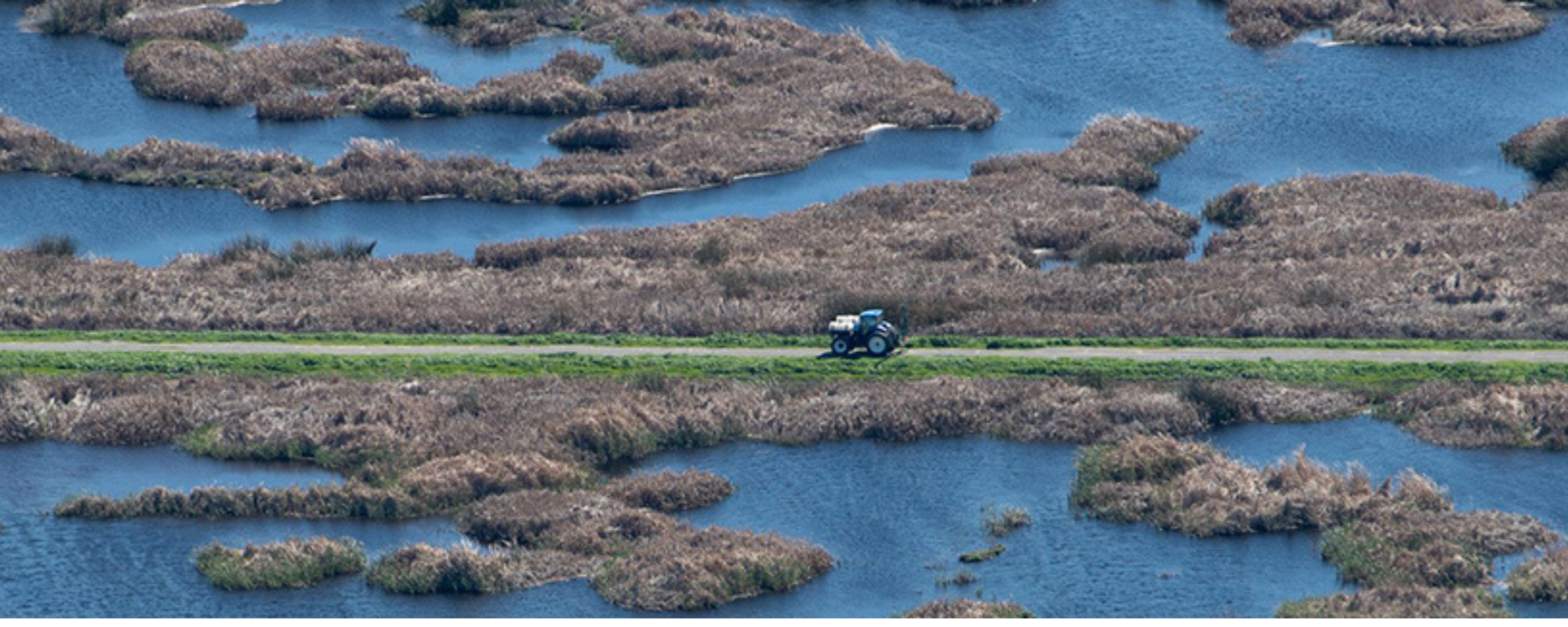The Delta Tunnel: What’s at Stake for Salmon and California’s Rivers