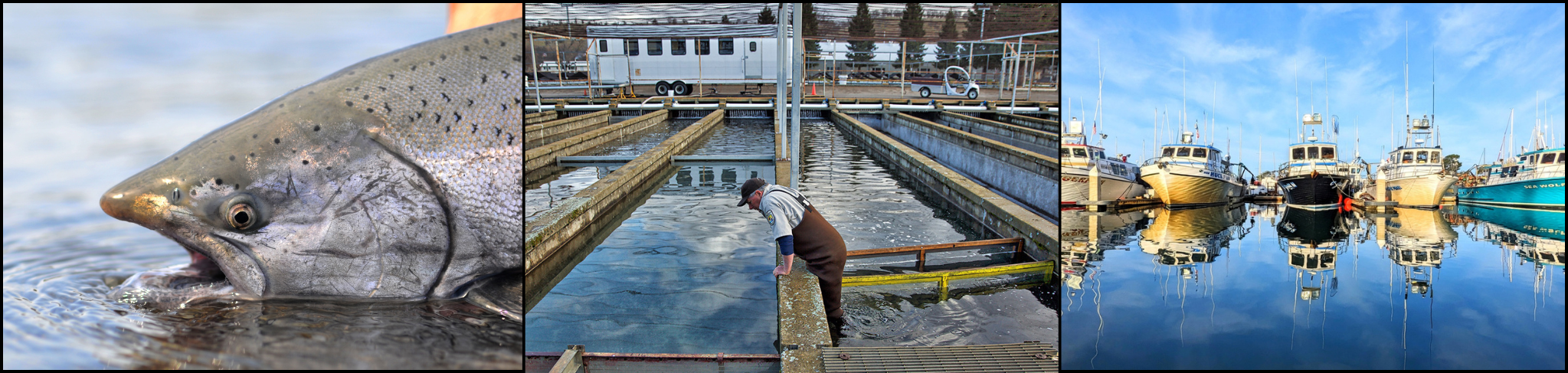 2026 Salmon Seasons finalized