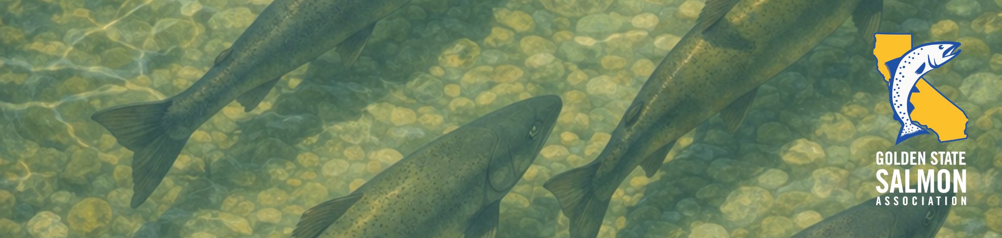 Santa Rosa Dinner 2026