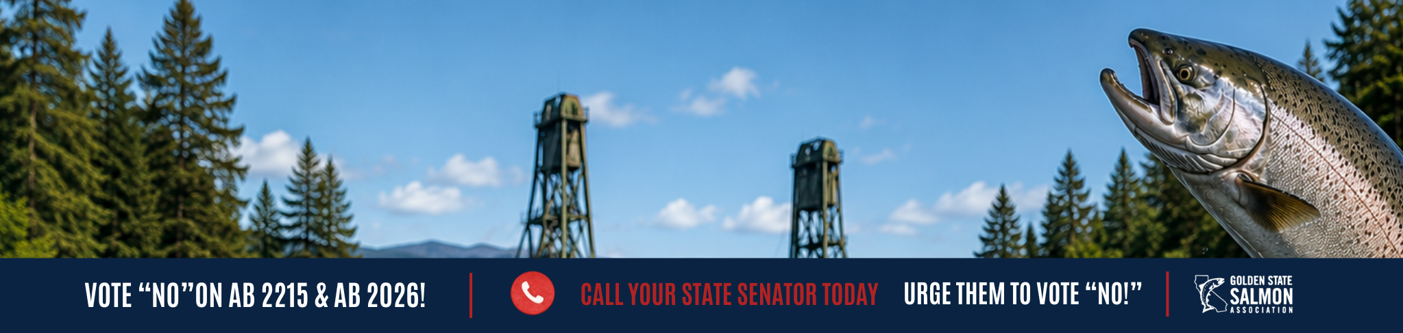 Action Alert: Urge Your State Senator to Oppose Bills to Increase Salmon-Killing Water Diversions