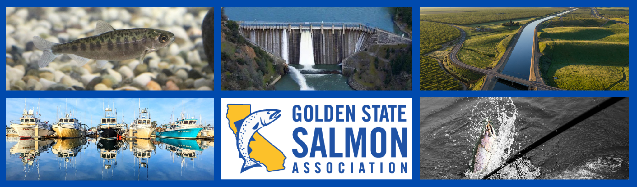 GSSA Warns Bureau of Reclamation Plan Could Violate State and Federal Law, Threaten California Salmon Recovery