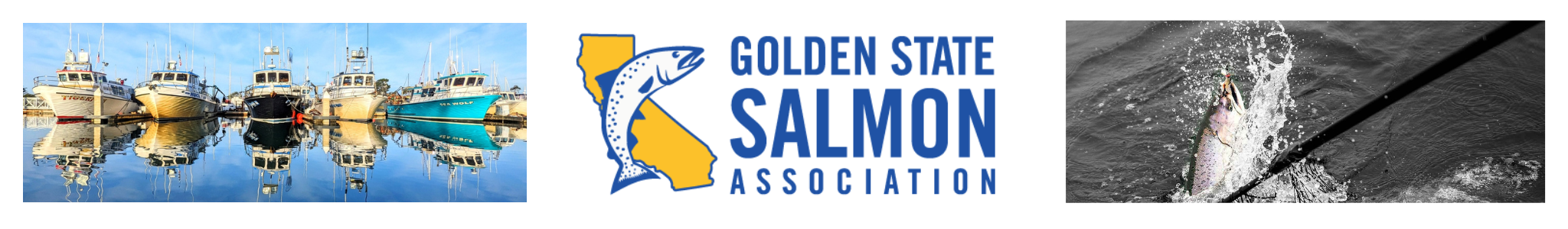 Remembering David Zeff: A Lifelong Advocate for California Salmon