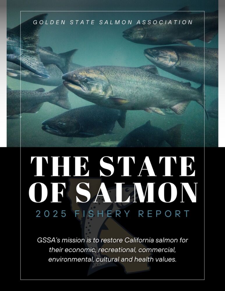 2025 State of Salmon Report The Golden State Salmon Association's 2025 State of Salmon Fishery Report
